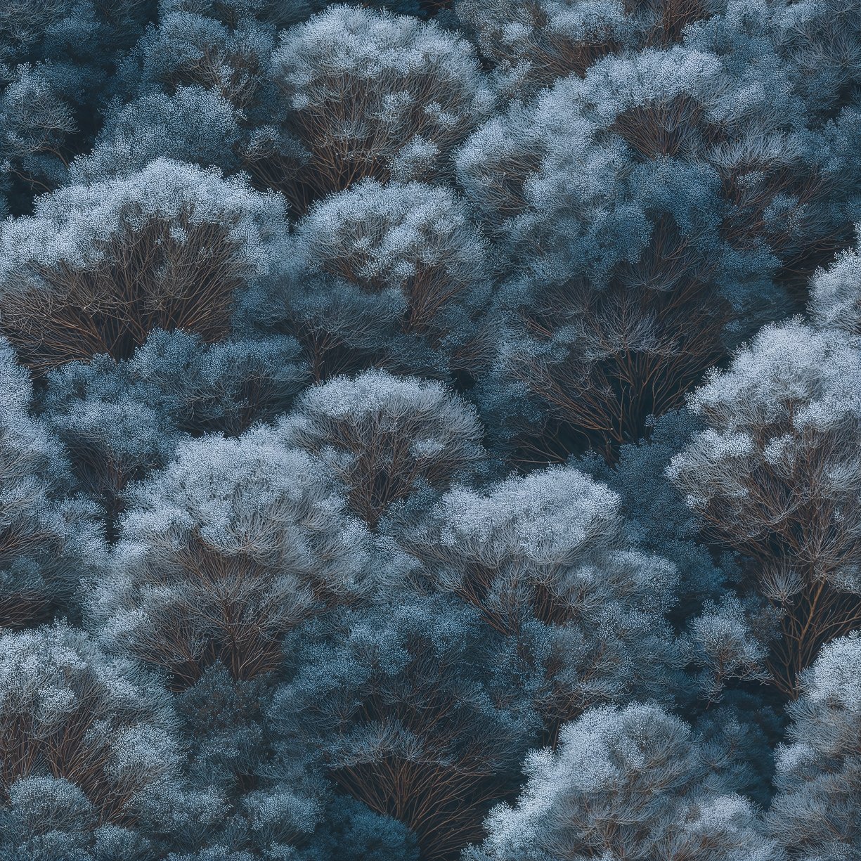 Image of 